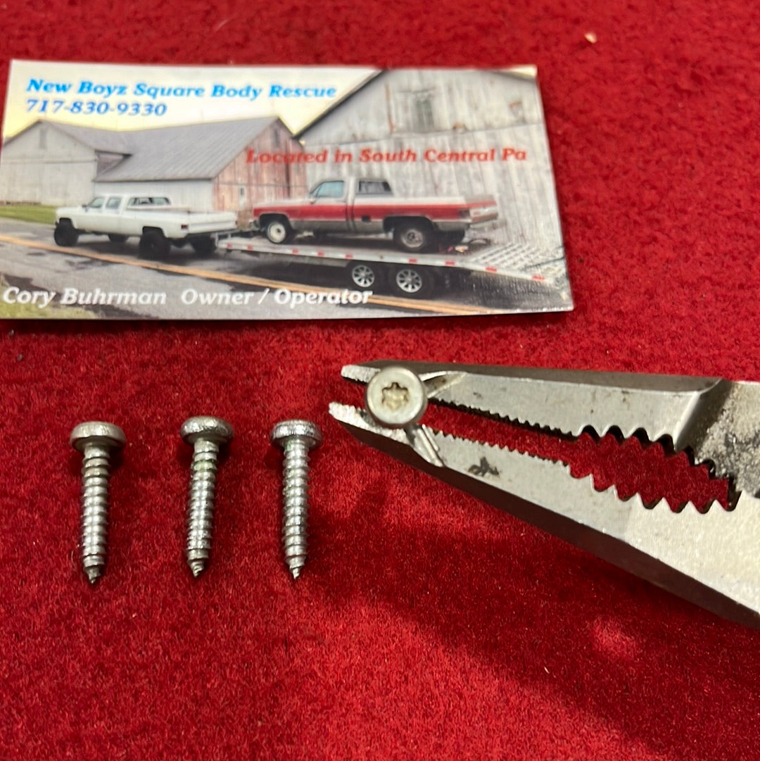 Tail Light Torx Screws