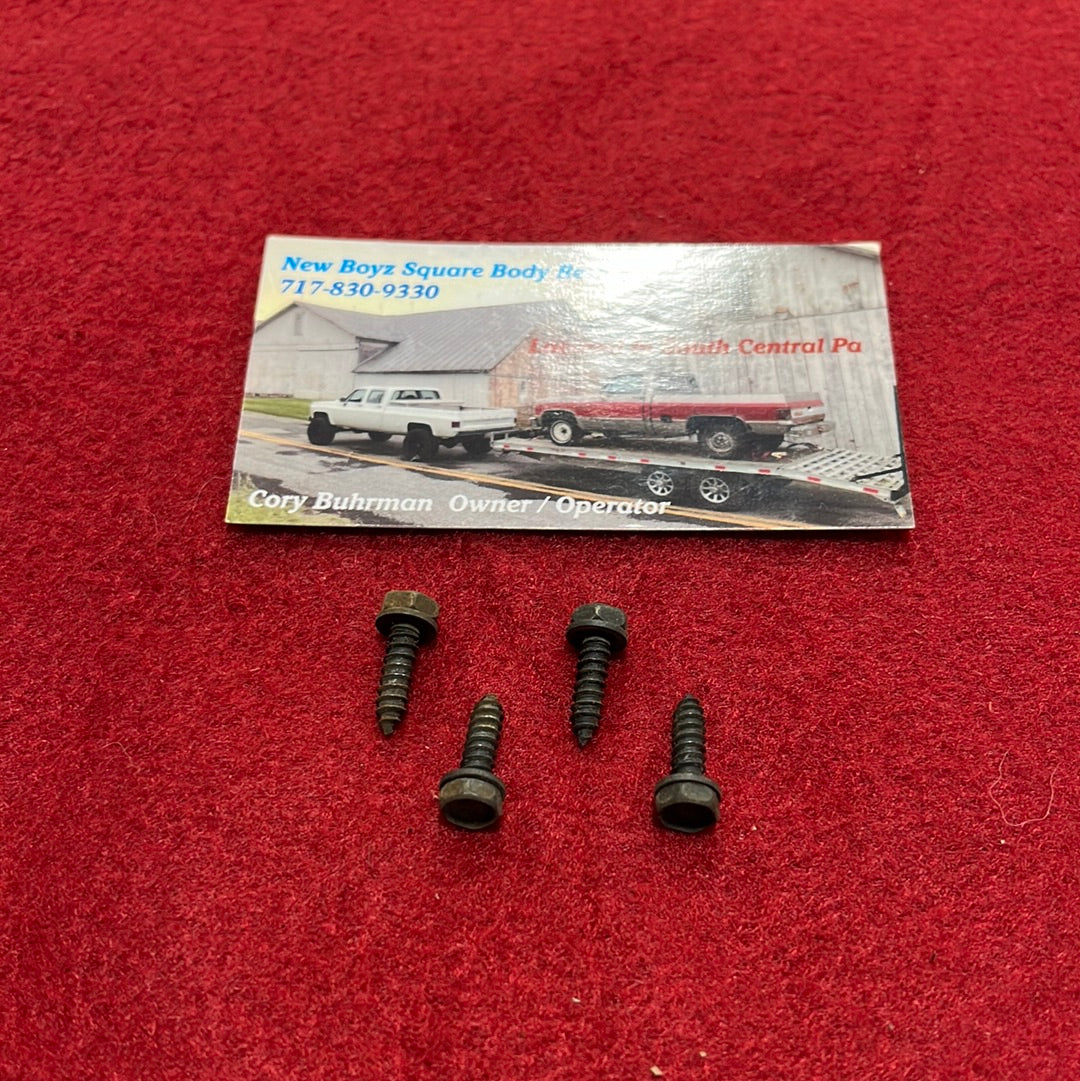 Heater Control Installation Screws QTY 4