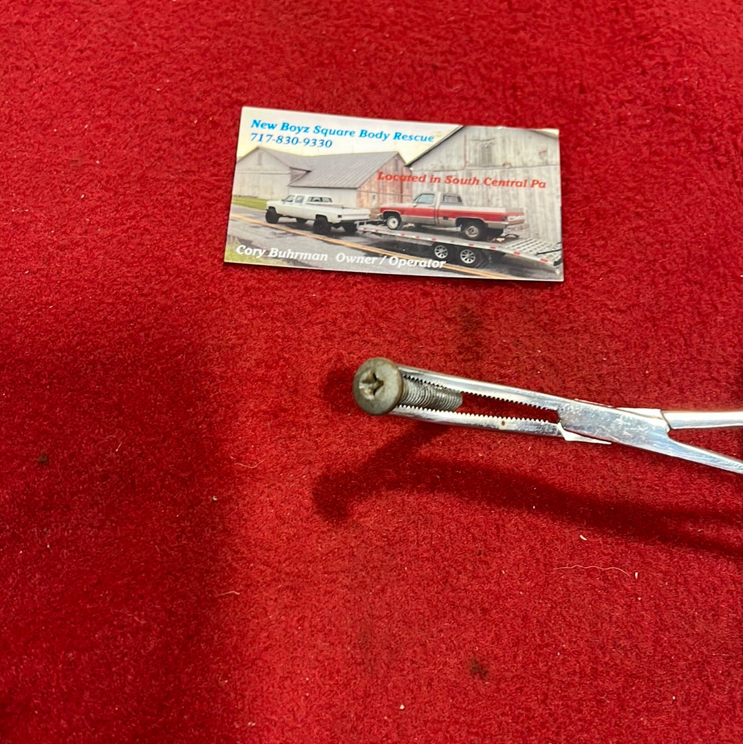 Screw, Door Panel Pull Strap Retaining Screw Phillips (81-91 Style)