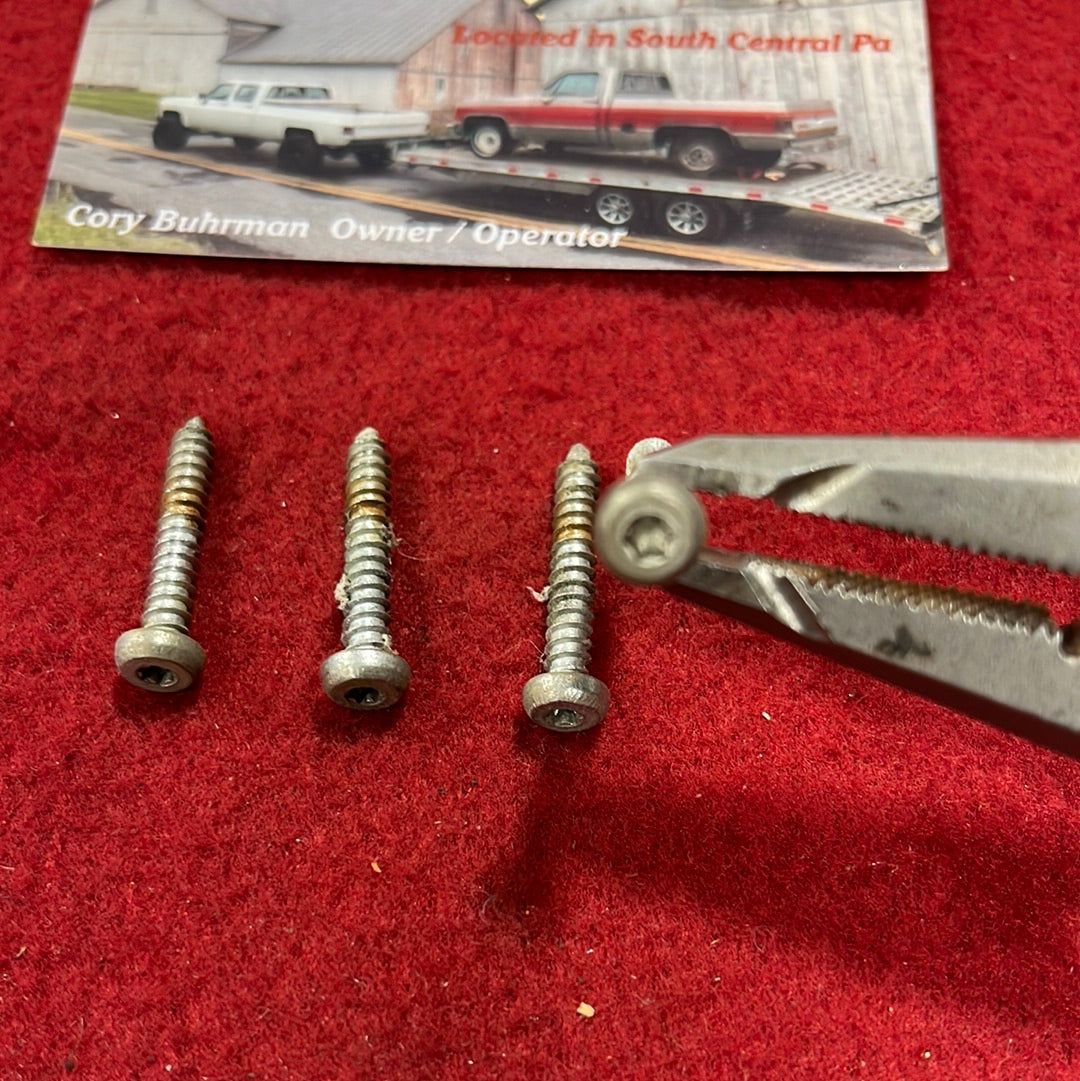 Tail light Torx Screws QTY 4