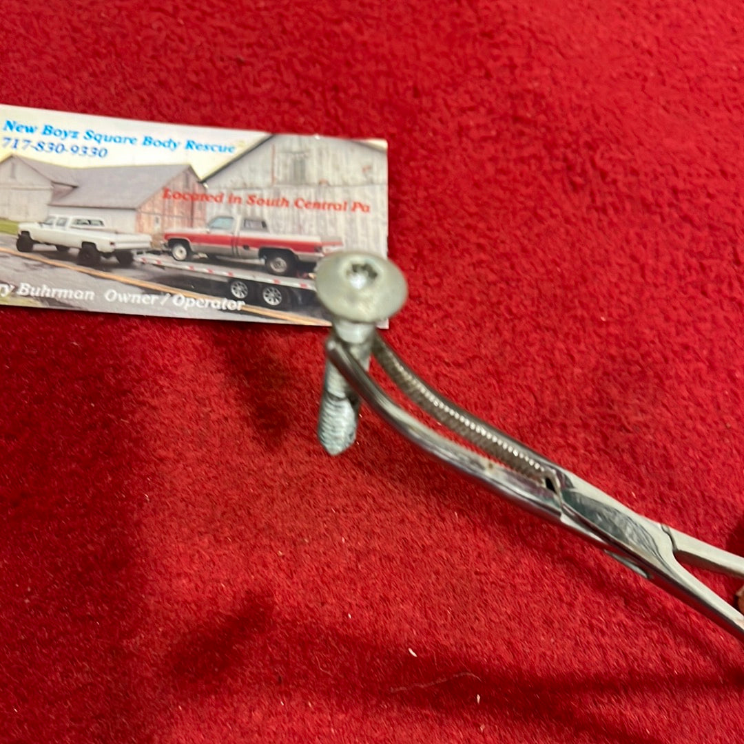 Screw, Door Panel Pull Strap Retaining Screw Torx (81-91 Style)