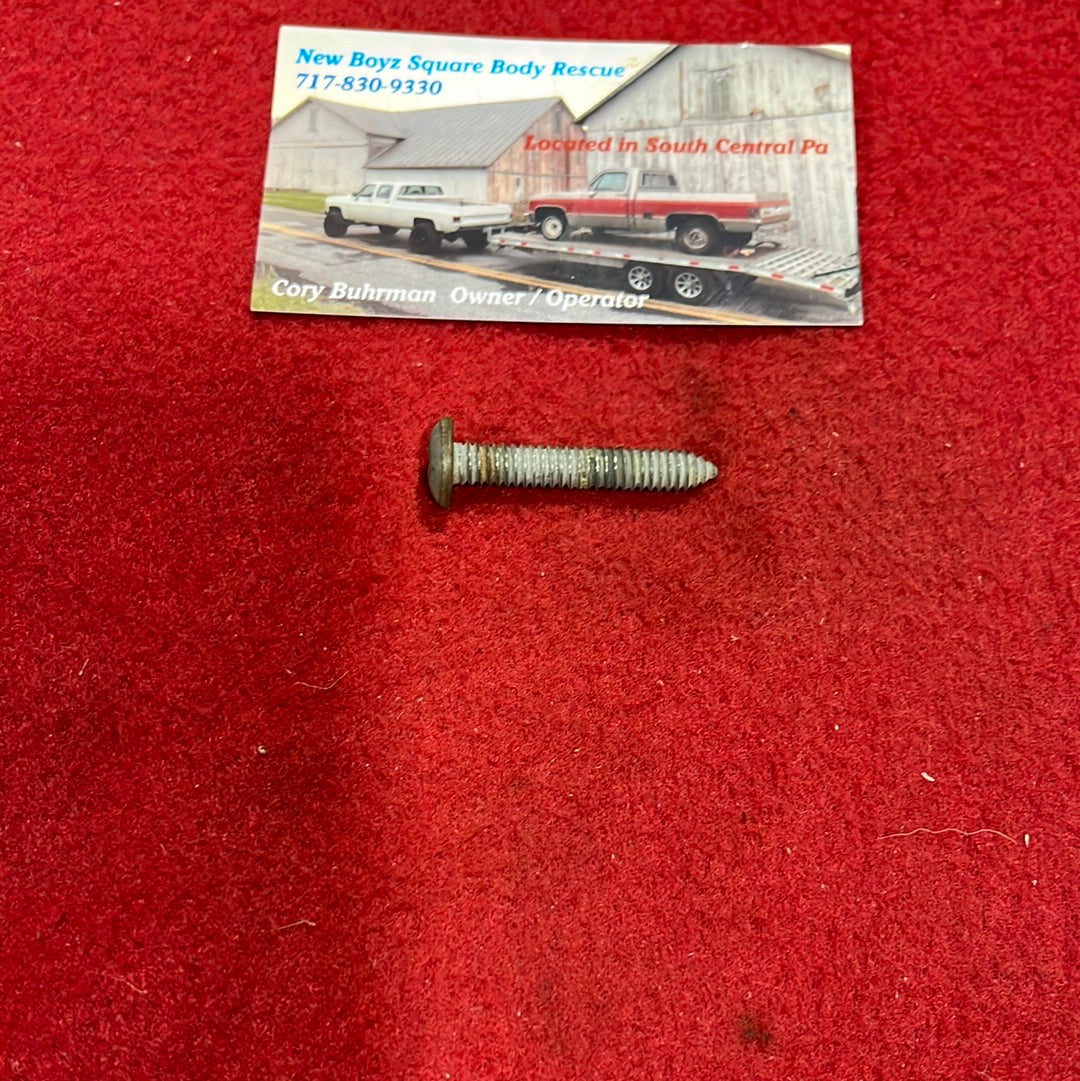 Screw, Door Panel Pull Strap Retaining Screw Phillips (81-91 Style)