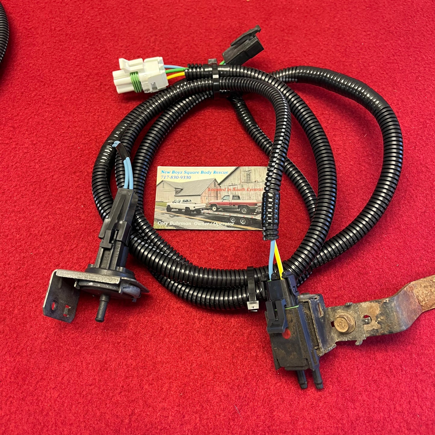 Harness M, Torque Converter Clutch Control Harness Transmission Side Replica (TCC) (5R4-M-T3W)