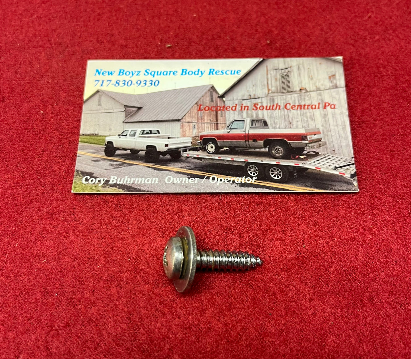 Screw, Tailgate Closure Panel Mounting Screw Phillips