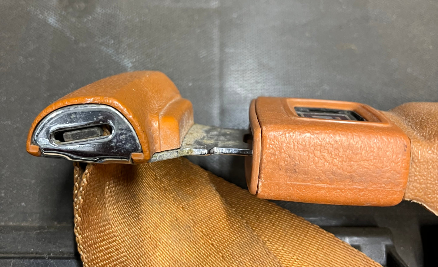 Cover, Seat Belt “Male” Buckle Cover