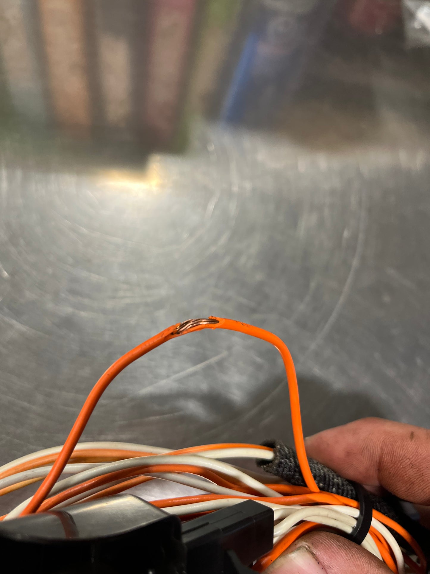 Lead, Courtesy / Dome Light Wiring Harness Lead
