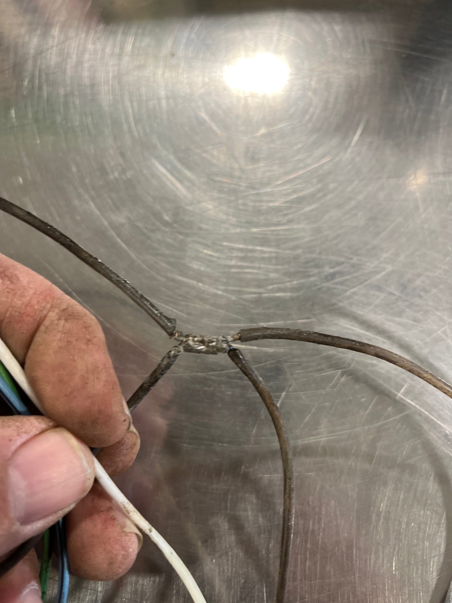 Pigtail, 4wd Shift Indicator Light Pigtail (Cluster Side) NP 208 / NP241