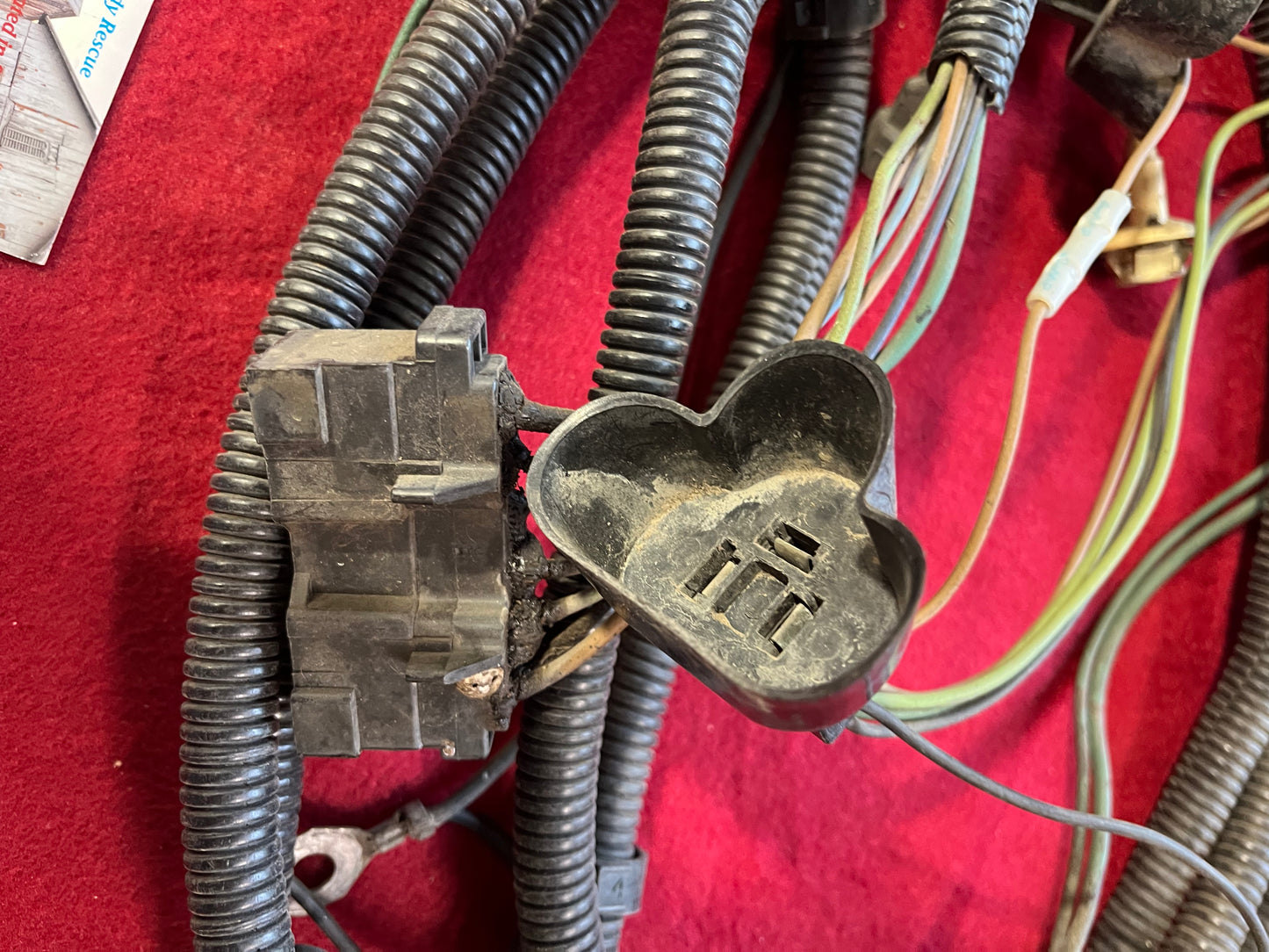Harness, 1975 - 1980 Headlight Harness