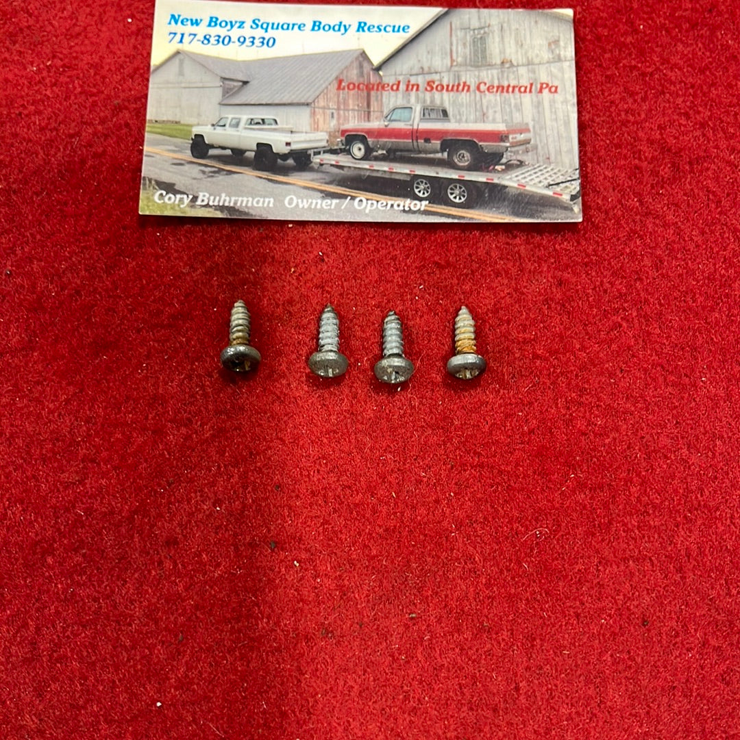 Ash Tray Housing Screws Phillips (QTY 4)