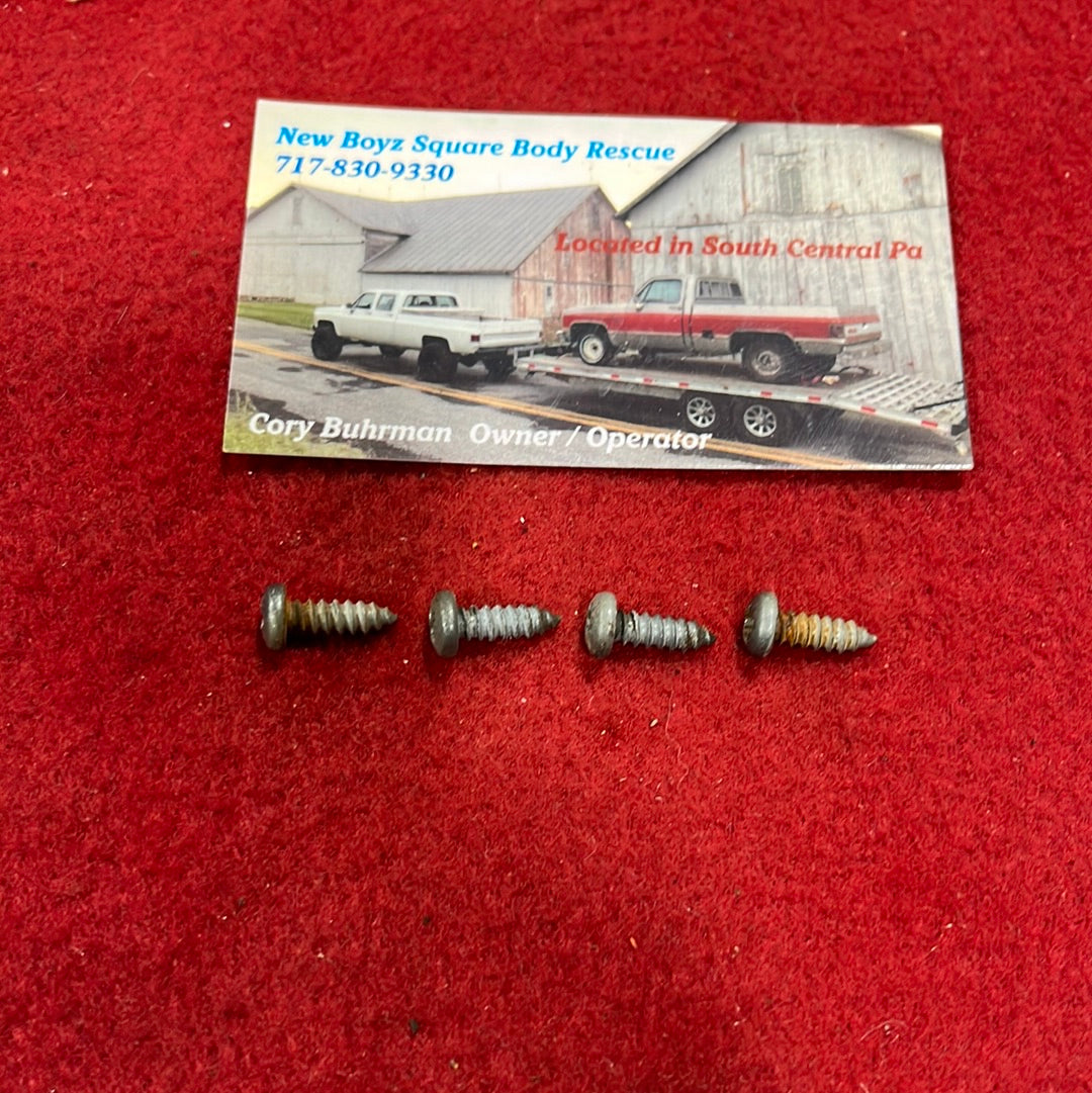 Ash Tray Housing Screws Phillips (QTY 4)