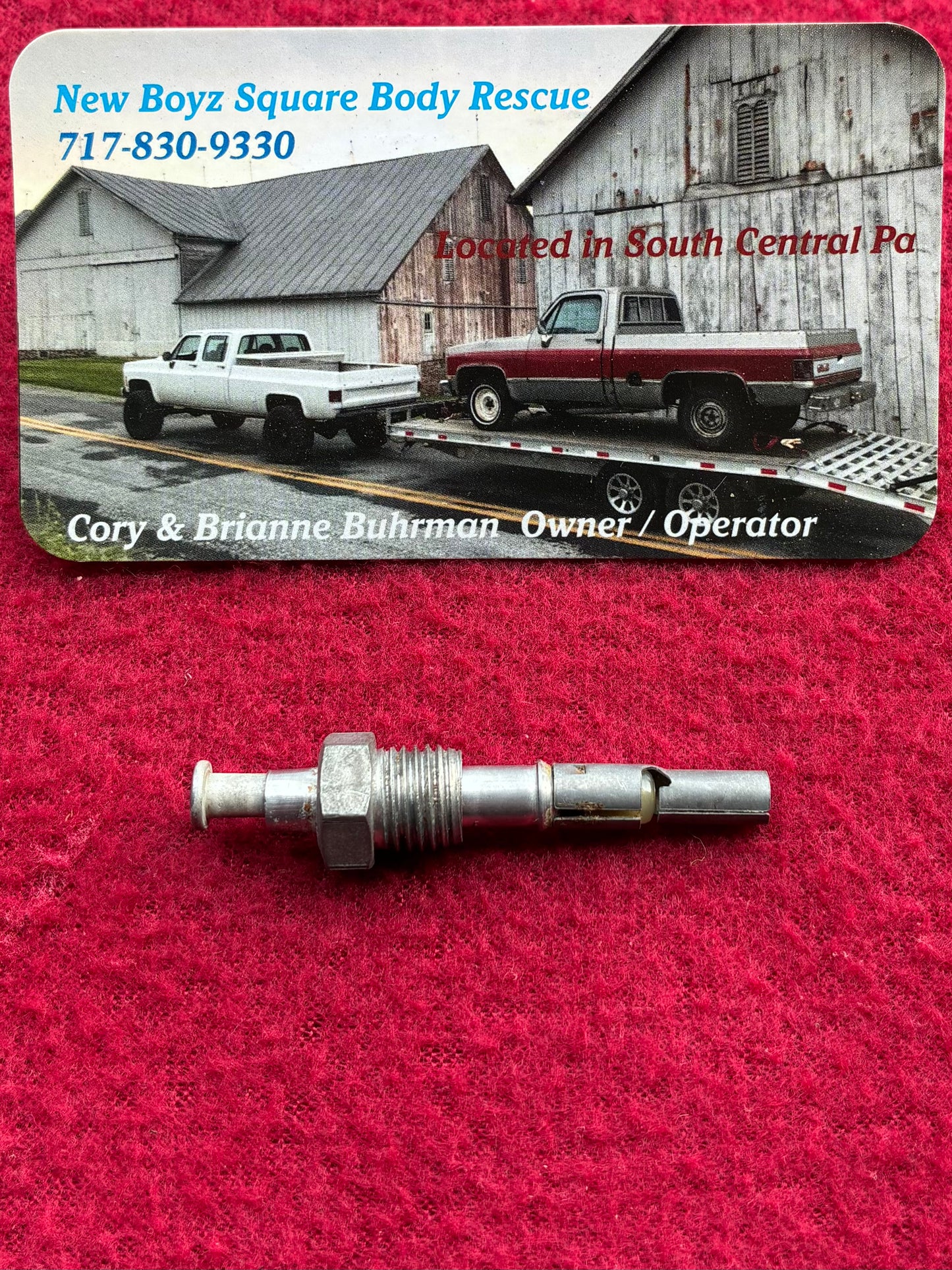 Switch, Door Jam Courtesy Light Switch (Bullet Connector Style)