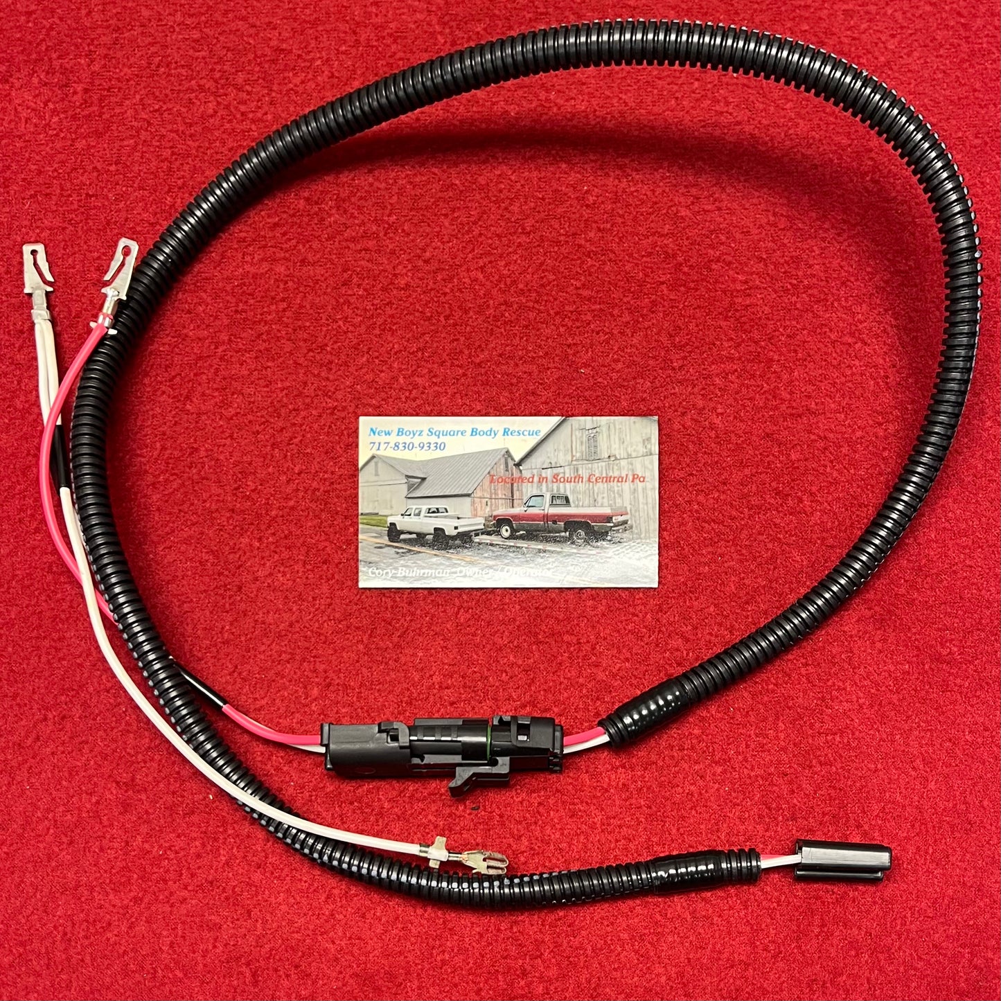 Harness M, Electric Washer Pump Conversion Harness 1978 - 1984