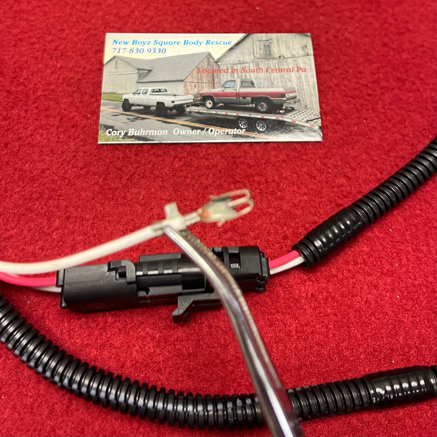 Harness M, Electric Washer Pump Conversion Harness 1978 - 1984