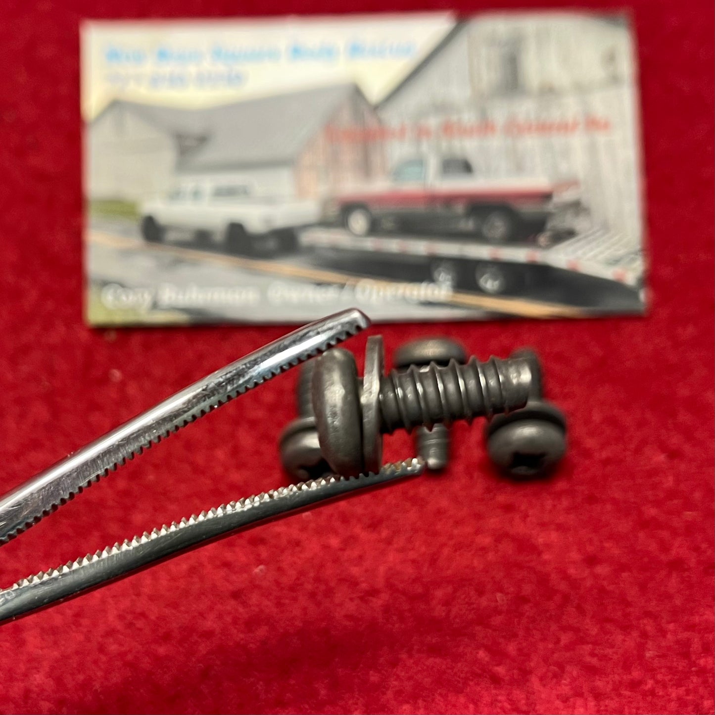 Screw Set, Folding Seat Cover Screw Set 1977 - 1980