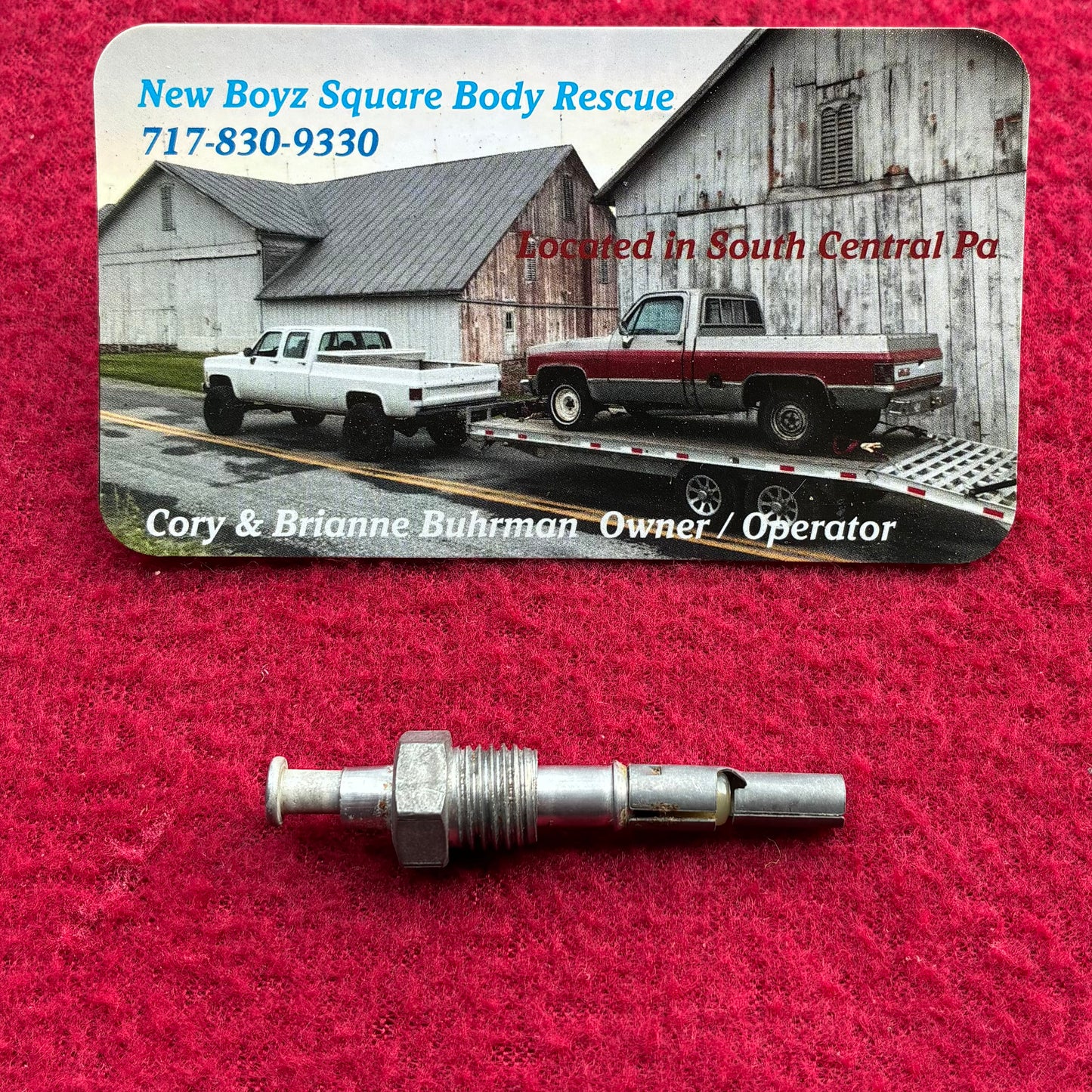 Switch, Door Jam Courtesy Light Switch (Bullet Connector Style)