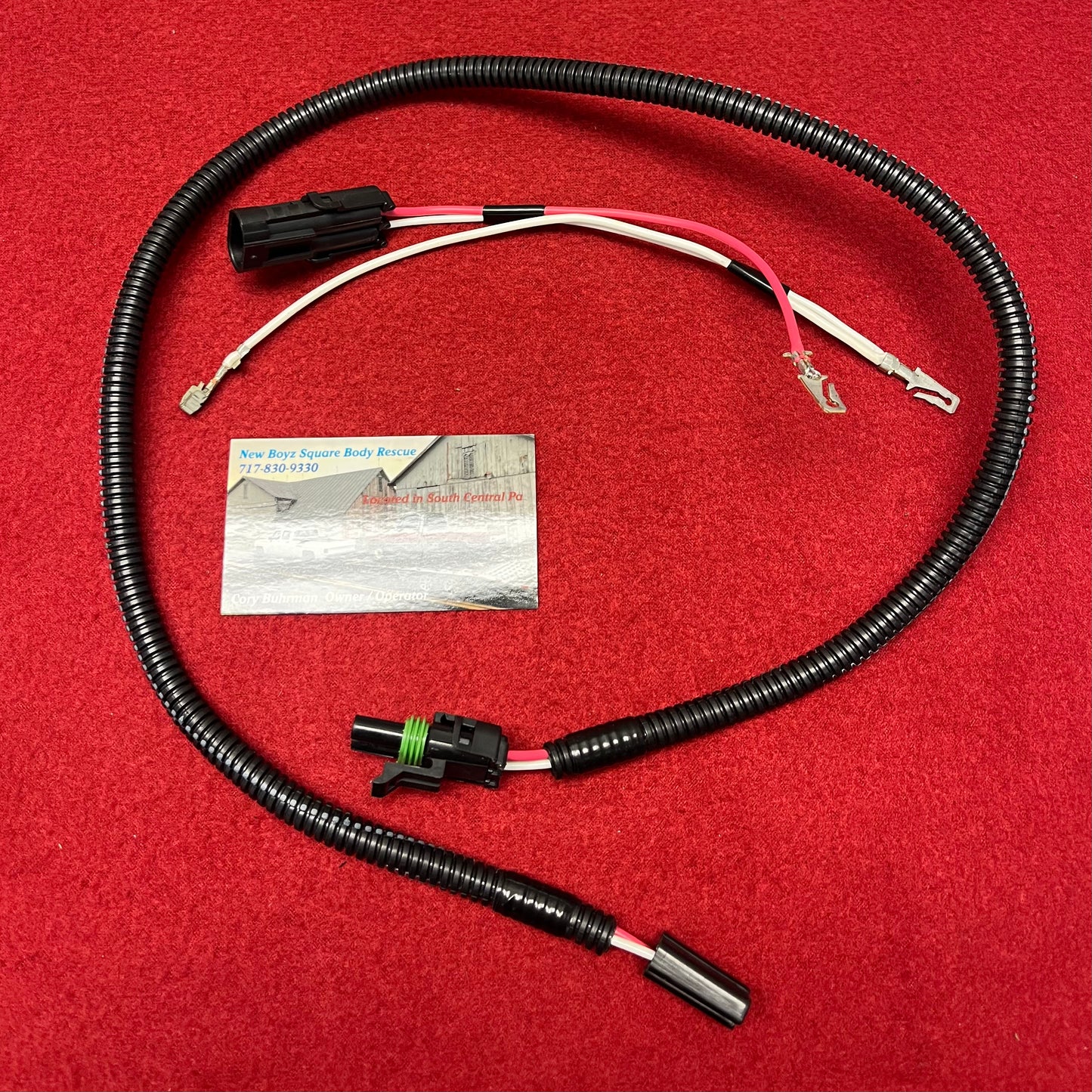 Harness M, Electric Washer Pump Conversion Harness 1978 - 1984