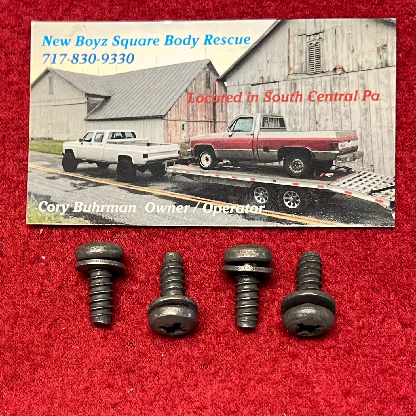 Screw Set, Folding Seat Cover Screw Set 1977 - 1980