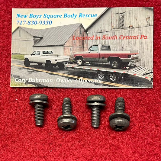Screw Set, Folding Seat Cover Screw Set 1977 - 1980