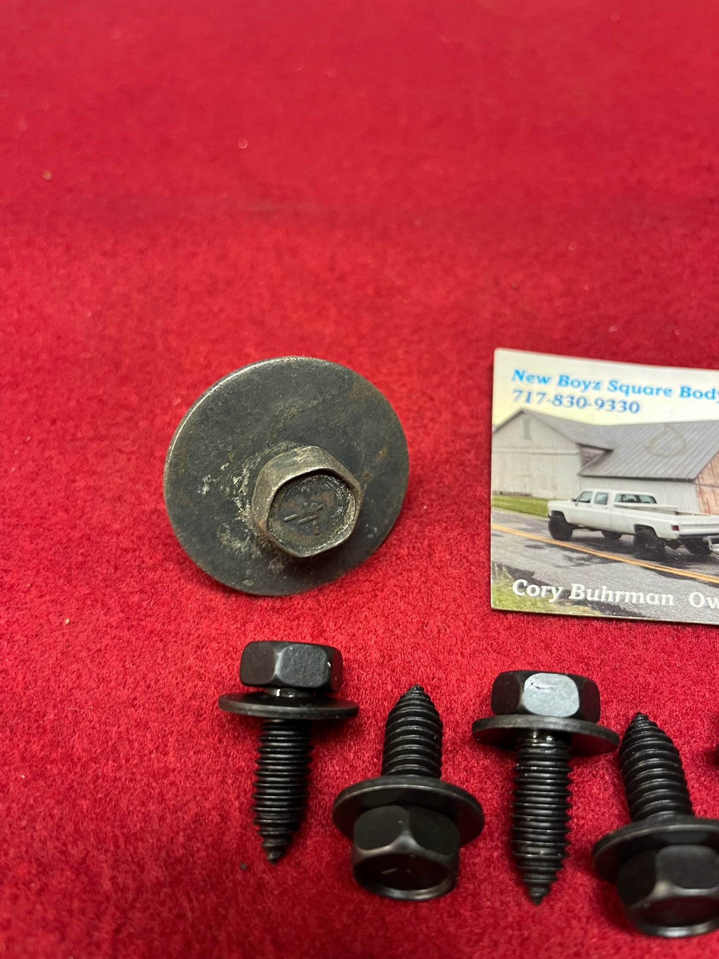 Bolt Set, Inner Fender Liner Bolt Set. 1981-1991