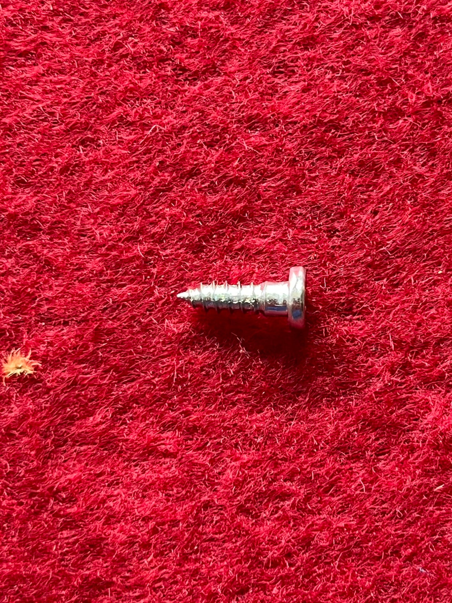 Screw, Molding Clip Stud Screw